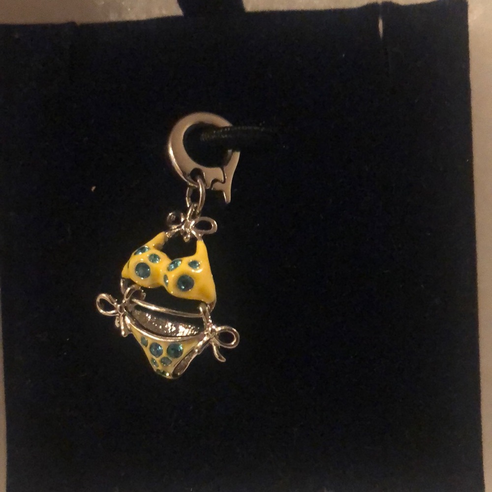 Swarovski Crystal Charm ✨✨
